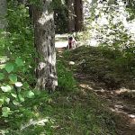 Beaver Lake Campground