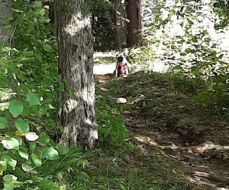 Beaver Lake Campground