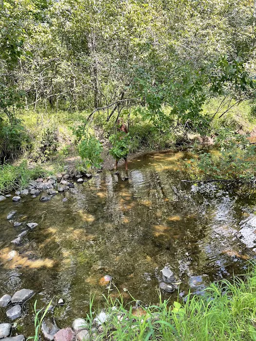 Lil’ Bit Campground 4