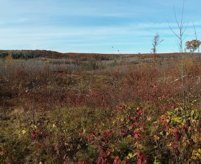 Featherstone RV Park 7