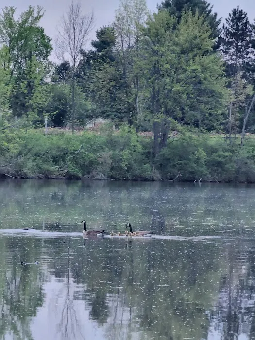 Doolittle Park 5