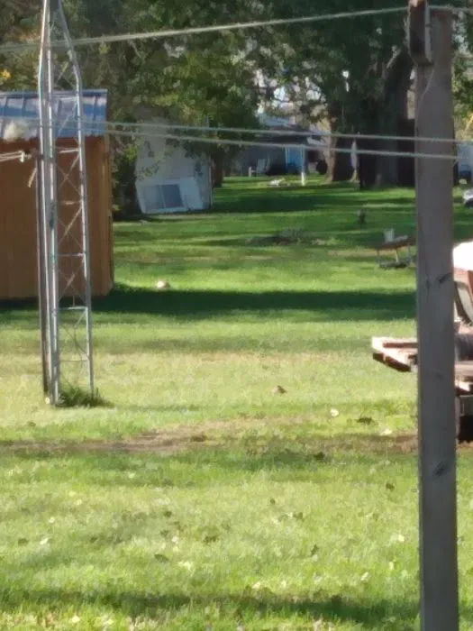 Anderson Mobile Home Park 3