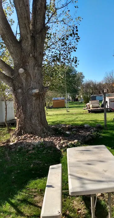 Anderson Mobile Home Park 2
