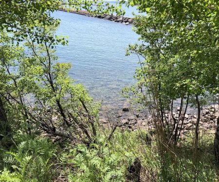 Long Lake East Side Campground