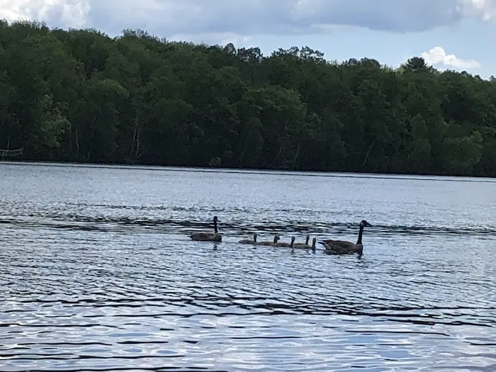 Long Lake East Side Campground 3