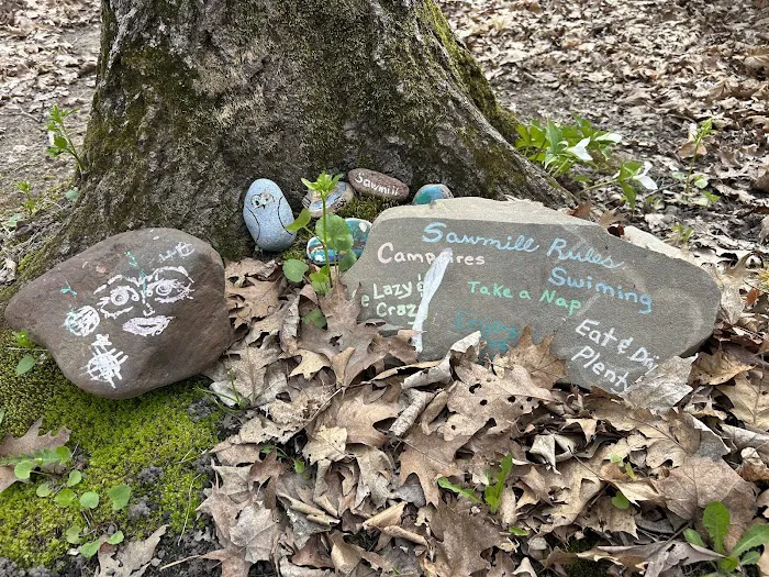 Washburn County Sawmill Park Campground 1