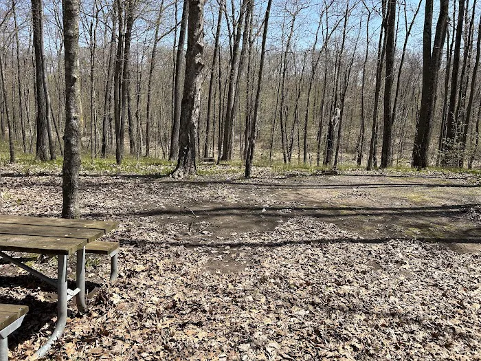 Washburn County Sawmill Park Campground 2