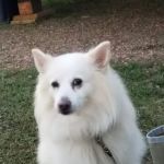 PIECE OF HEAVEN CAMPROUND