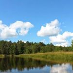 Sand Lake Pines Resort & Campground