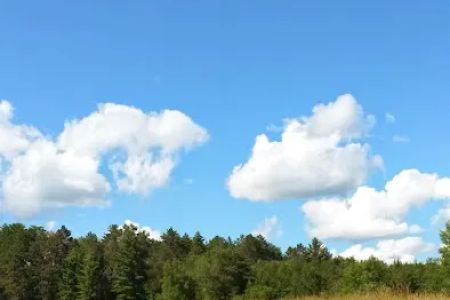 Sand Lake Pines Resort & Campground