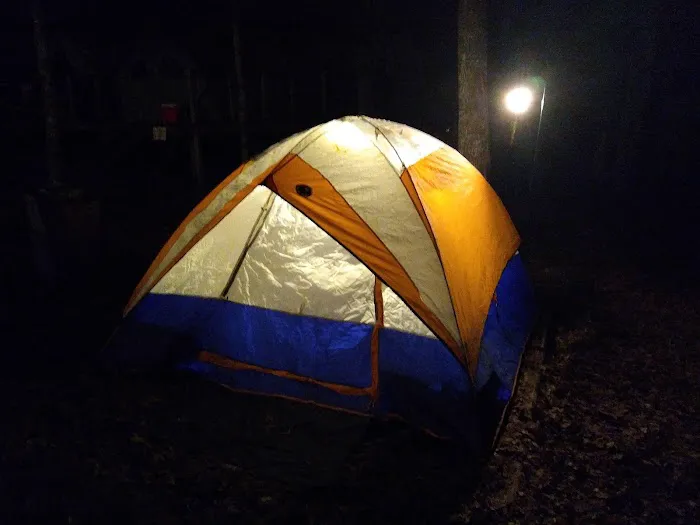 Tamarack Campsite 1