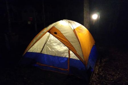 Tamarack Campsite