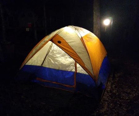 Tamarack Campsite
