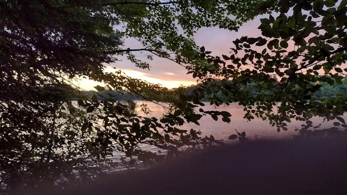 Tamarack Campsite 9