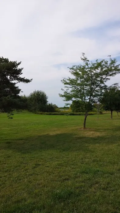 Hatfield Park Campground 6