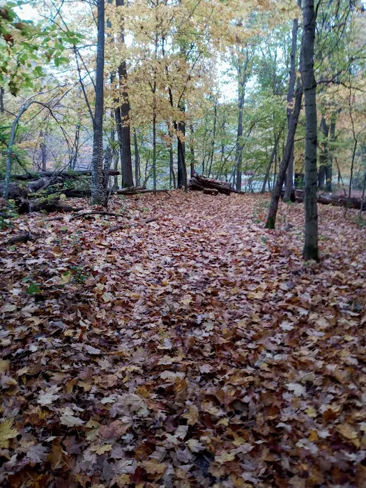 Lakeview Park Inc. 10