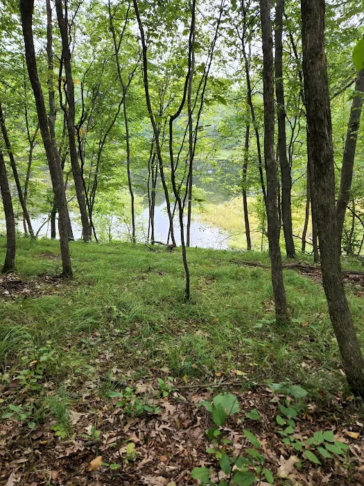 Lakeview Park Inc. 1