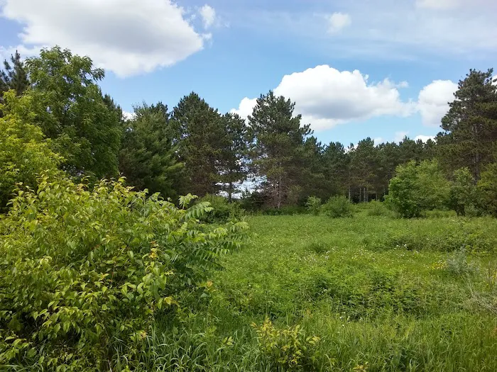 Riverway Campground 2