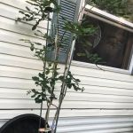 Country View Manufactured Home Community (Country View of Lakeville)