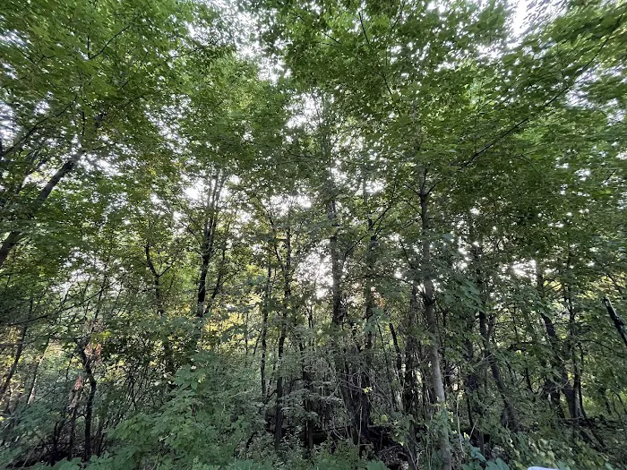 Lebanon Hills Campground 7