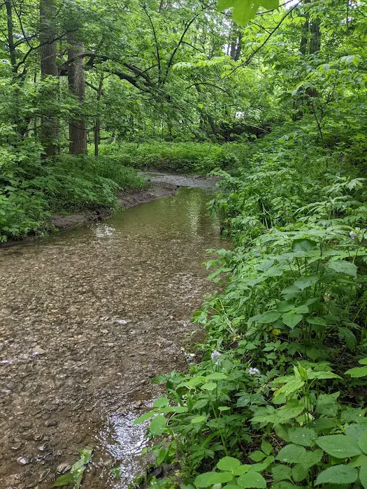 Peaceful Valley Campground 2