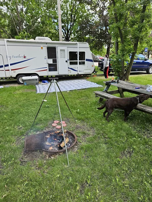 Allanson's Park Camping 10