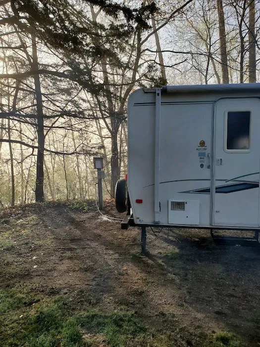 Allanson's Park Camping 6