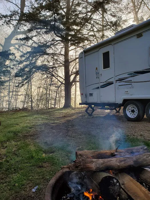 Allanson's Park Camping 3