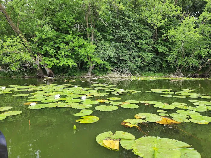 Cleary Lake Regional Park Campground 3