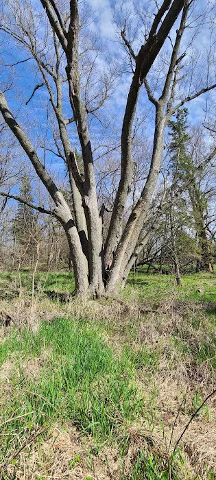 Green Valley State Park Campground 8