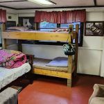 Camp Deer Trails