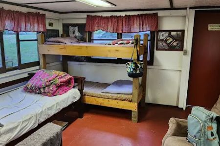 Camp Deer Trails