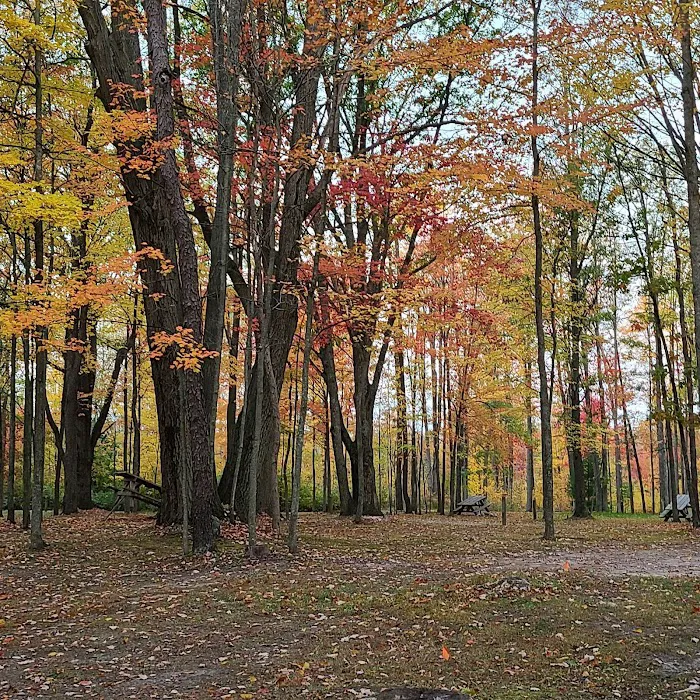 The Lost Oaks Campground 6