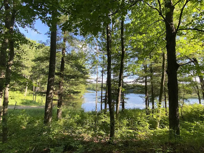 Trout Lake State Forest Campground 7
