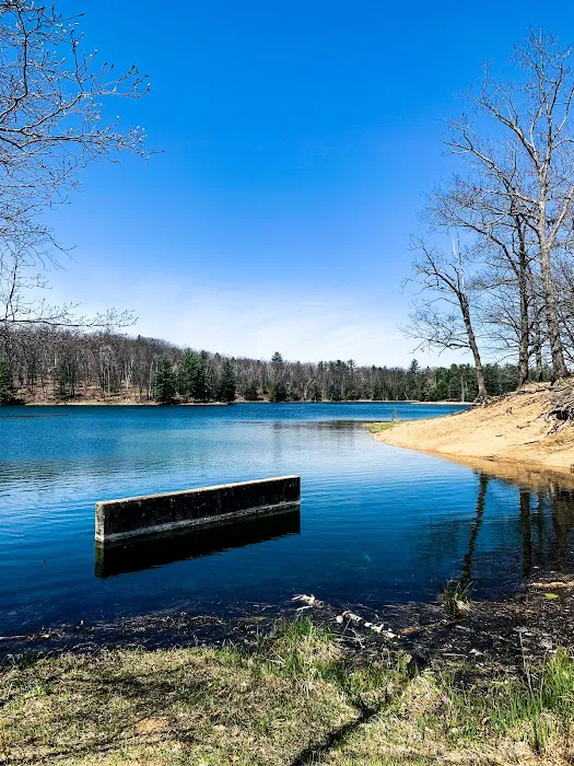 Trout Lake State Forest Campground 5