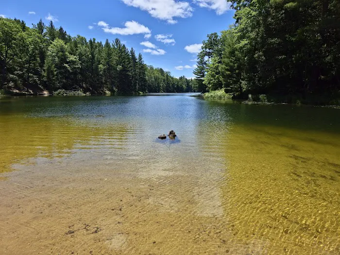 Trout Lake State Forest Campground 6