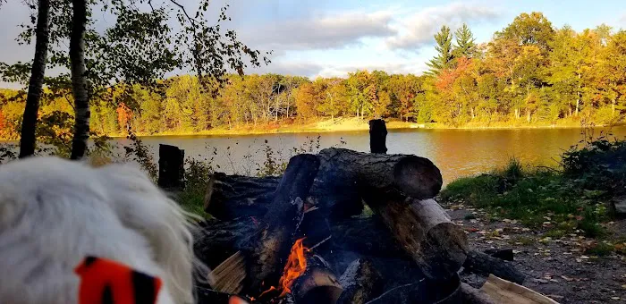 Trout Lake State Forest Campground 2