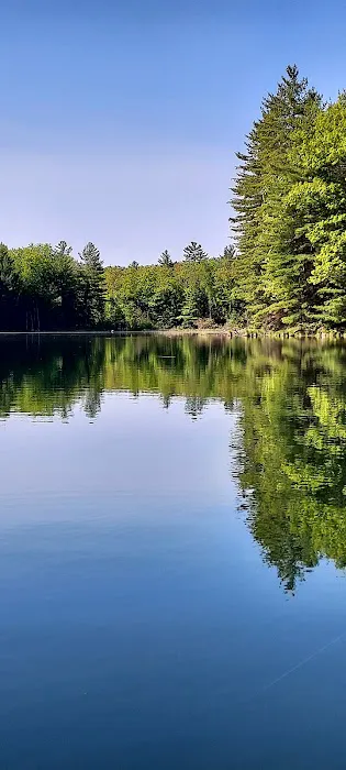 House Lake State Forest Campground 5