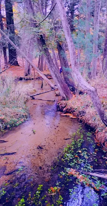 House Lake State Forest Campground 2