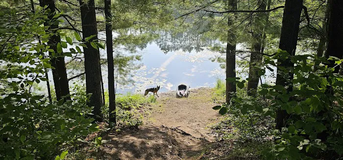 House Lake State Forest Campground 10
