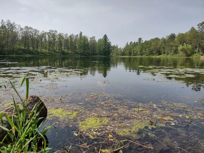 House Lake State Forest Campground 9