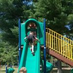 Forest Lake Property Owners