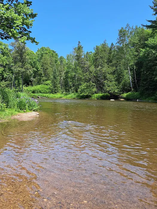 Rifle River Campground & Canoe Livery 9