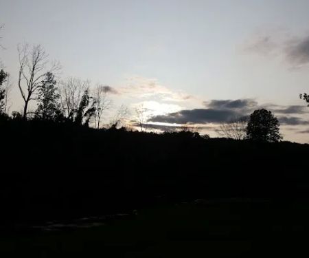 Rifle River Campground & Canoe Livery