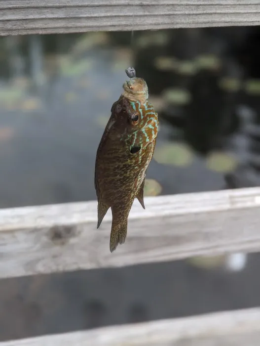 Otter Lake Village Campground 1
