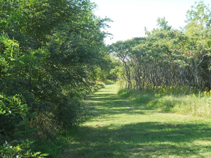 Sebewaing County Park 4