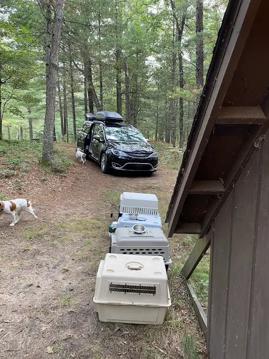 The Pines Campground 5