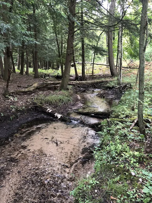 Old Grade Campground 6
