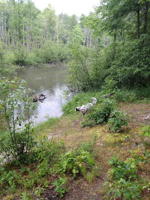 Old Grade Campground 9