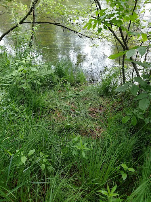 Old Grade Campground 2